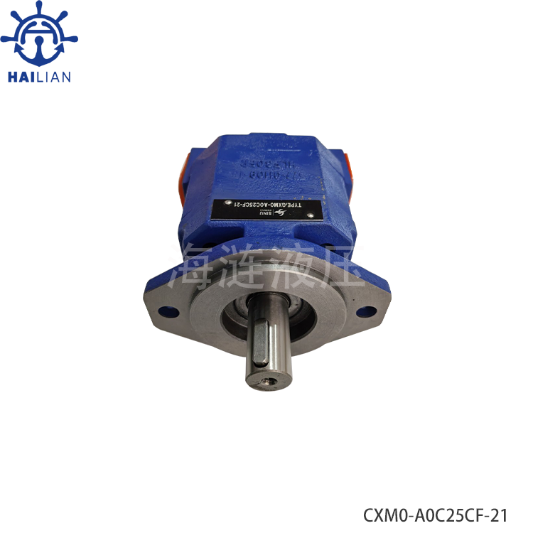 HDYRAULIC GEAR PUMP FOR HATCH COVER CXM0-A0C25CF-21