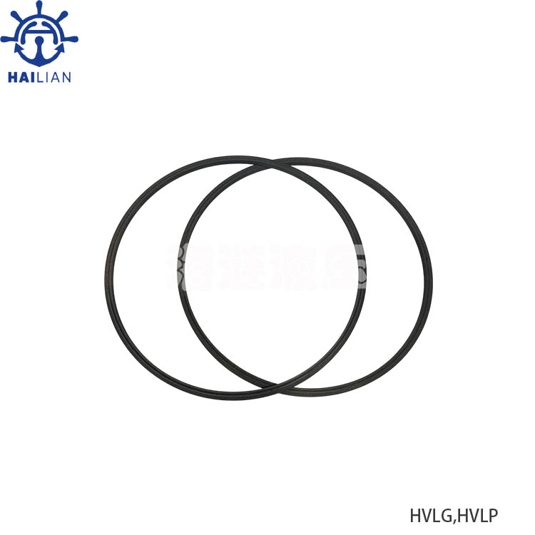 HVLG,HVLP HDYRAULIC VANE MOTOR SEAL RING-SPARE PARTS