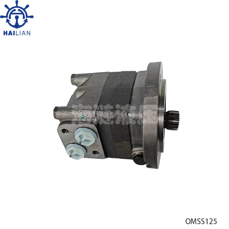 Orbital Motor OMSS 080/100/125/315 For Freefall Lifeboat Davit-Hydraulic Spare Parts