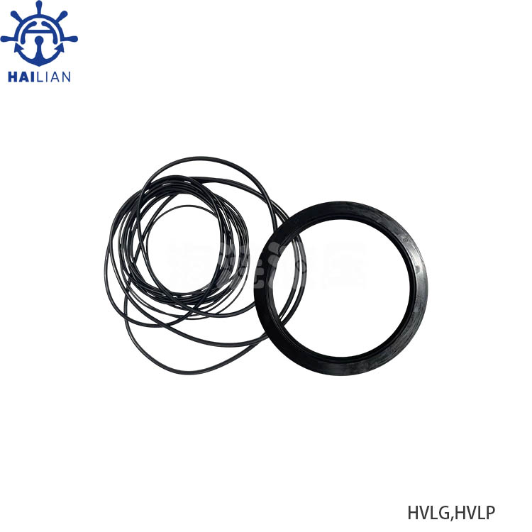 SEAL KIT FOR HVLG,HVLP HDYRAULIC VANE MOTOR SPARE PARTS